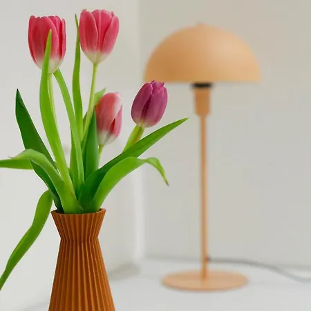 Boutique Piazza Grande Locarno