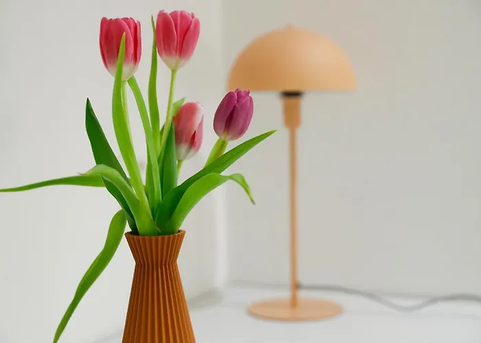 Boutique Piazza Grande Locarno