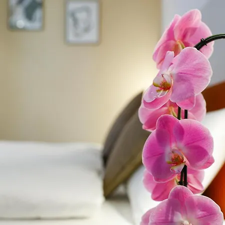 Hotel Boutique Piazza Grande Locarno